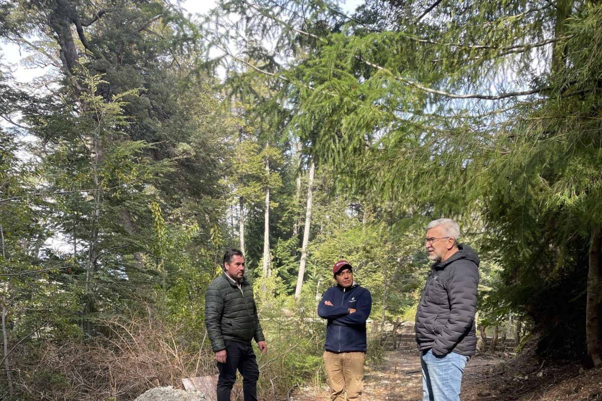 La Subsecretaría de Recursos Hídricos planifica mejorar las captaciones de agua en Villa la Angostura