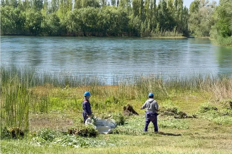 Continúa la limpieza del Paseo de la Costa sobre el río Limay